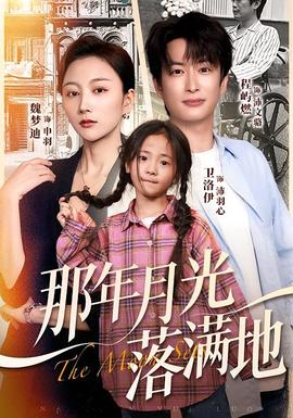 那年月光落满地